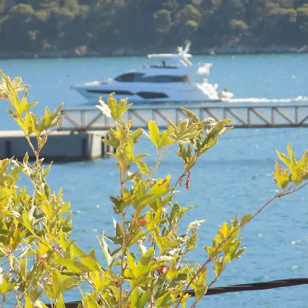 Marina Ii アルゴストリオン