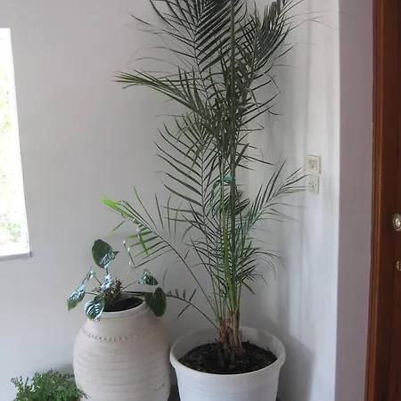 Appartamento Marina Ii